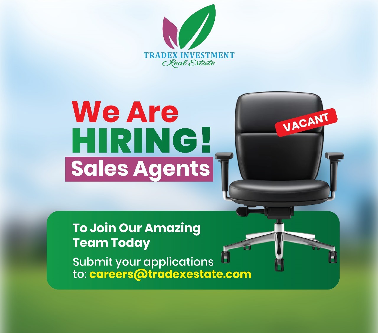 Real Estate Team