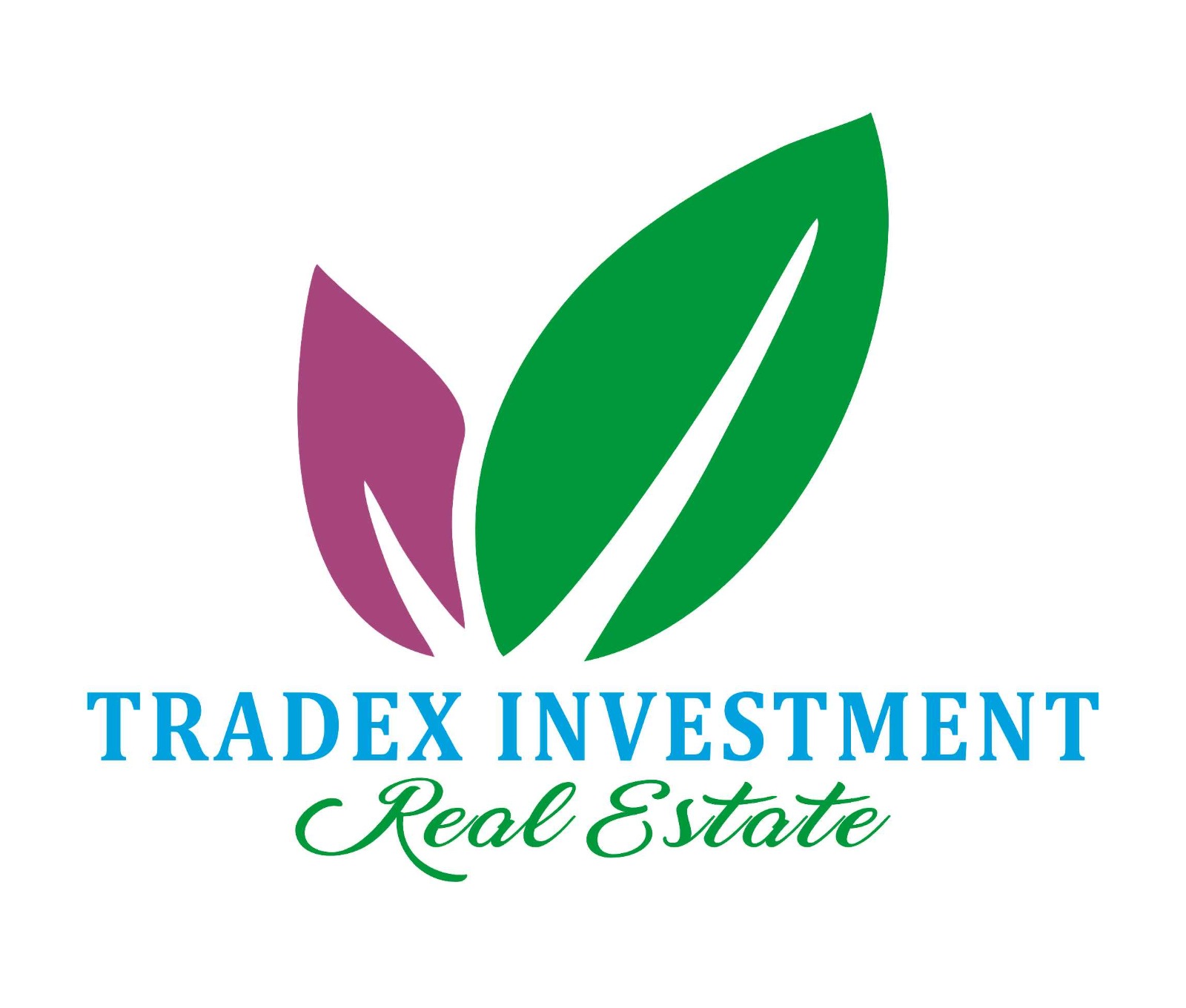 Tradex Investment Logo